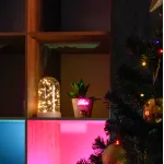 Световая фигура Feron "Колба с Нитью Роса" 50LED 2700K