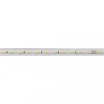 Cветодиодная LED лента Feron LS705 120SMD(5730)/м 11Вт/м 50м 220V 3000K IP65 32716 от ImperiumLoft