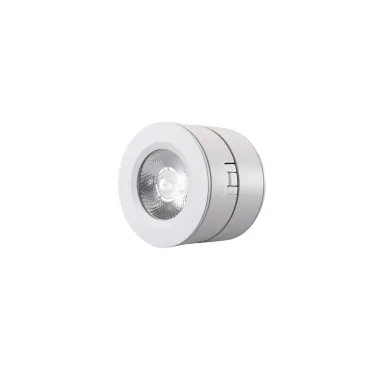 Светодиодный потолочный светильник Lucia Tucci Ltp LTP-C003-12W-W