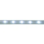 Светодиодная LED лента Feron SST20 SAFFIT 60SMD(2835)/м 6Вт/м 220V 50м 6500K IP65 55245