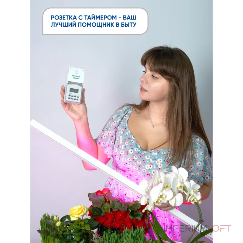 Розетка с таймером Feron TM23 23206 от ImperiumLoft