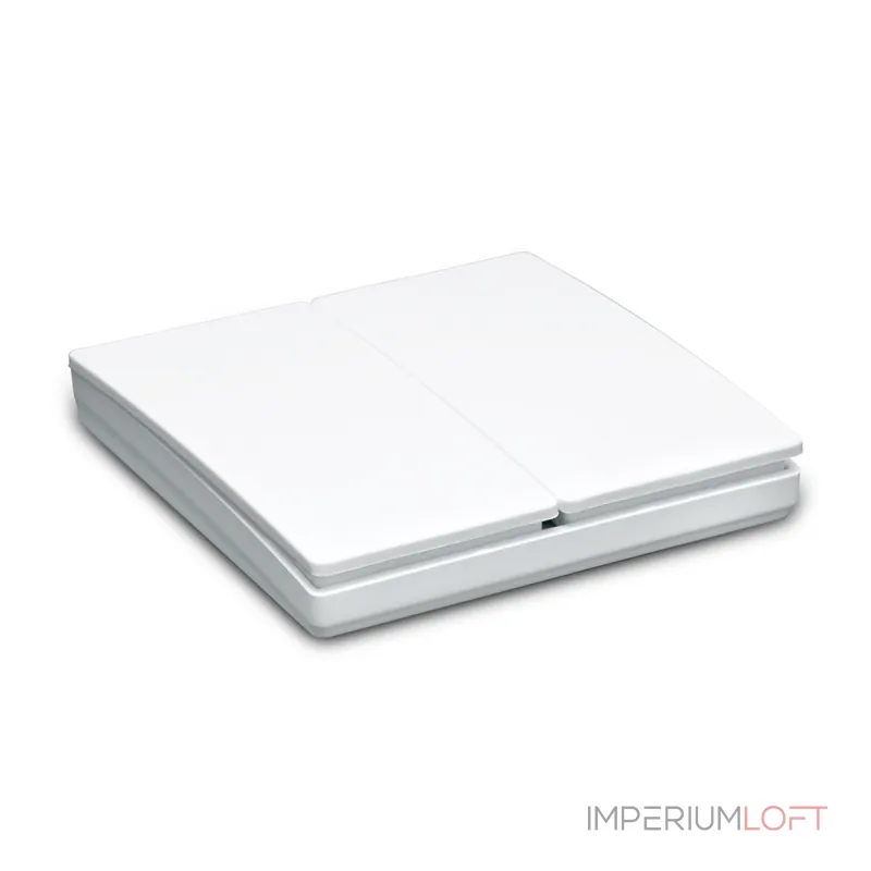 Выключатель двухклавишный без рамки Feron Saffit TM82 41129 от ImperiumLoft