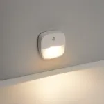 Светильник с датчиком движения и освещенности Feron FN1220 LED IP20 0.5W 4000К