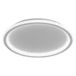 Потолочный светильник Feron Ring 41556 