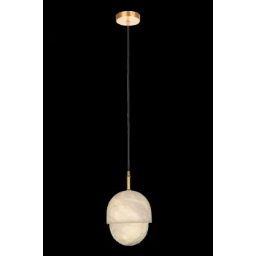 Подвесной светильник Fluorite Flamma FL1021-1P