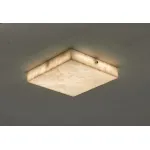 Потолочный светильник Fluorite Relaxatio FL1042-4C