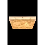 Потолочный светильник Fluorite Relaxatio FL1042-4C