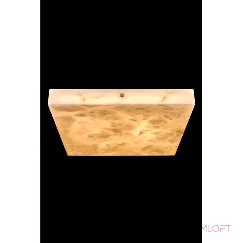 Потолочный светильник Fluorite Relaxatio FL1042-4C