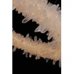 Люстра подвесная Fluorite Augusto FL1212-8P