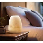 Настольная лампа Fluorite Magia FL1036-3T от ImperiumLoft