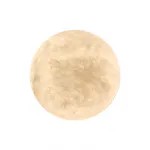 Настенный светильник (Бра) Fluorite Luminosa FL1020-1WM от ImperiumLoft