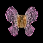 Бра Fluorite Borboleta FL1103-1W3