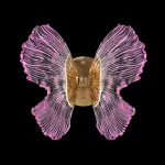 Бра Fluorite Borboleta FL1103-1W3