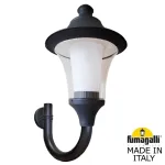 Светильник уличный настенный FUMAGALLI ILIO/REMO R50.251.000.AXH27