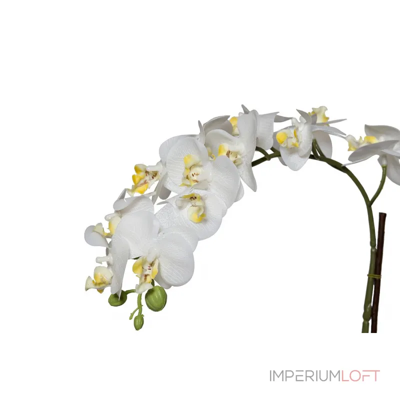 29BJ-170-06 Орхидея белая в горшке h46см от ImperiumLoft