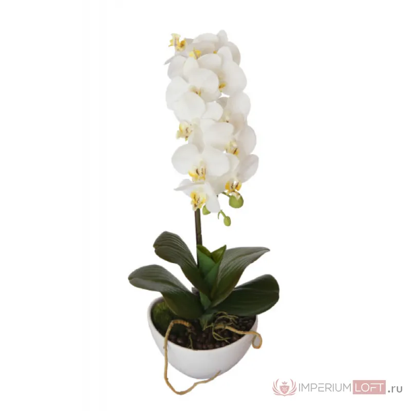 29BJ-170-06 Орхидея белая в горшке h46см от ImperiumLoft