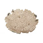 69-219013 Блюдо декор. металлич.Соты цвет зол. 38*38*8см от ImperiumLoft 69-219013 Блюдо декор. металлич.Соты цвет зол. 38*38*8см от ImperiumLoft