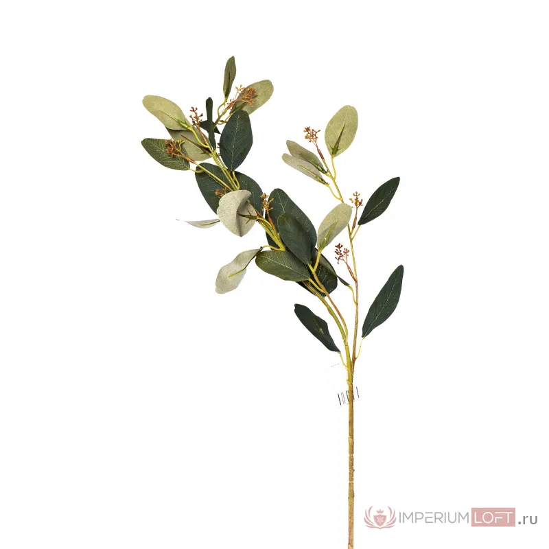 9F28558-GR Веточка эвкалипта с цветами листья зеленые 72см(24) от ImperiumLoft