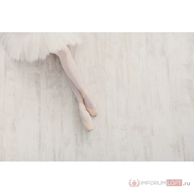 54STR-BALLET Холст Балерина 46х69 см, паспарту, багет кэнвес от ImperiumLoft