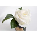 Диффузор Роза белая, спрей Старинная роза GardaDecor 96CN-RB41