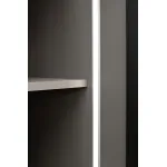 Шкаф двухдверный Garda Decor Alto GD-10013-6(тонировка)