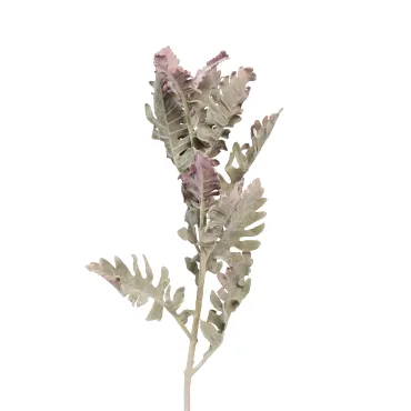 Цинерария Garda Decor 9F28508-5459