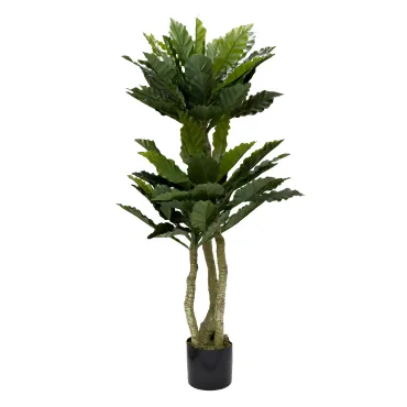 Папоротник гнездовой в горшке Garda Decor 29BJ-934