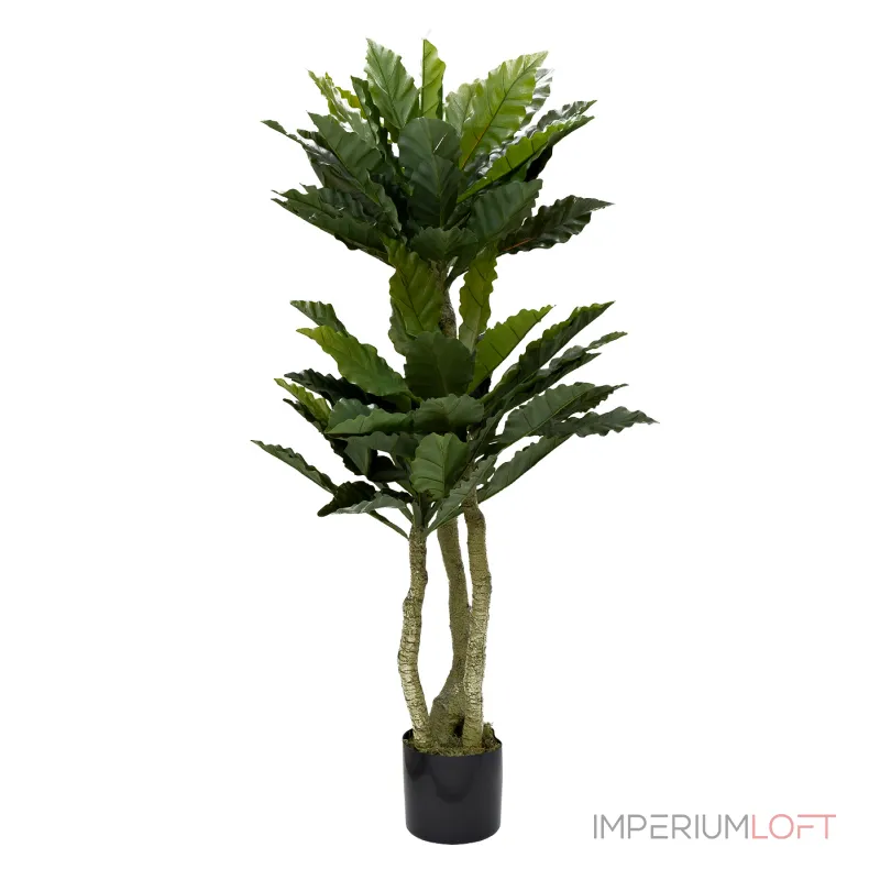 Папоротник гнездовой в горшке Garda Decor 29BJ-934 Папоротник гнездовой в горшке Garda Decor 29BJ-934