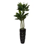 Папоротник гнездовой в горшке Garda Decor 29BJ-934