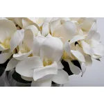Диффузор Garda Decor 96CN-RG0005