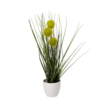 Алиум зеленый в горшке Garda Decor 8J-20RK0005-GR