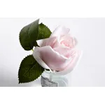 Диффузор Garda Decor 96CN-R4600