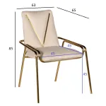 Стул GardaDecor 30C-DR-20013C CR
