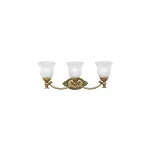 Бра для ванных комнат Hinkley Francoise HK-FRANCOISE3-BATH