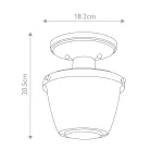 Потолочный светильник для ванной Quoizel Dublin QZ-DUBLIN-SF-PNBR