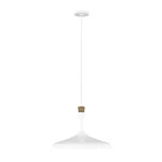 Подвесной светильник Feiss Darwin FE-DARWIN-P