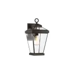 Настенный фонарь Quoizel Ravine QZ-RAVINE2-M