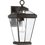 Настенный фонарь Quoizel Ravine QZ-RAVINE2-M