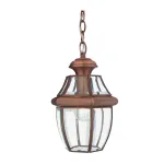 Подвесной светильник Quoizel Newbury QZ-NEWBURY8-M-AC