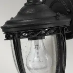 Настенный фонарь Feiss English bridle FE-EB2-S-BLK