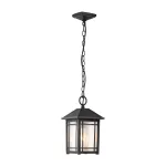 Подвесной фонарь Quoizel Cedar point QZ-CEDAR-POINT8-M-BK