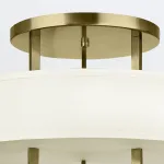 Потолочный светильник Hinkley Hampton HK-HAMPTON-SF-BB