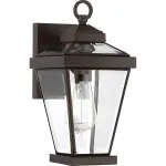 Настенный фонарь Quoizel Ravine QZ-RAVINE2-S
