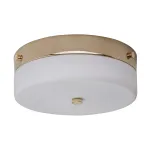 Потолочный светильник для ванной комнаты Elstead Lighting Tamar TAMAR-F-M-PG