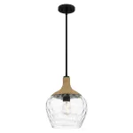 Подвесной светильник Quoizel Royer QZ-ROYER-1P-MBK