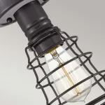 Потолочный светильник Quoizel Mixon QZ-MIXON-SF-PN