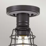 Потолочный светильник Quoizel Mixon QZ-MIXON-SF-PN