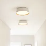 Потолочный светильник Feiss Asher FE-ASHER-3F-WHT