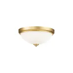 Потолочный светильник для ванны Feiss Malibu FE-MALIBU-F-BATH-BB