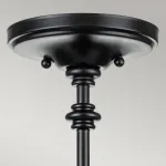 Потолочный светильник Feiss Pickering lane FE-PICKERING-LANE-SF-BLK